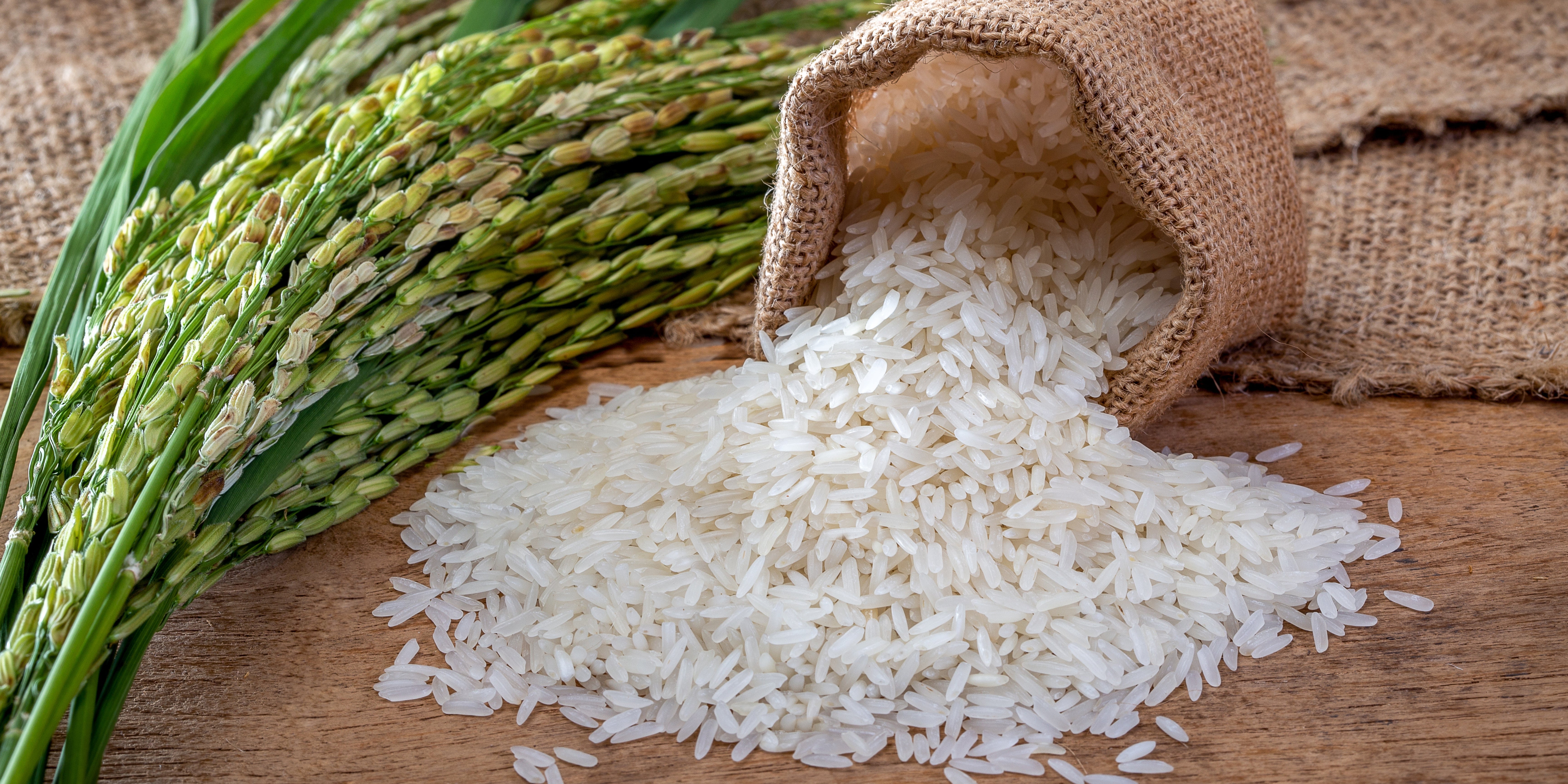 Artisanal Rice, Grains and Beans – Nicola's Marketplace