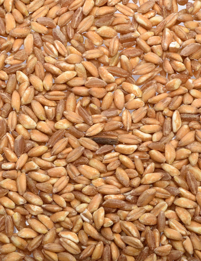 Whole Grain Farro Produced by: Rustichella d'Abruzzo