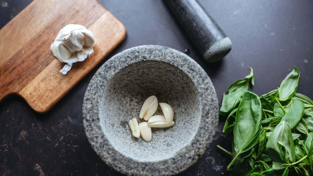 定価8.4万 ECOLE DE CURIOSITES BASIL M アイボリー Sweet Italian Basil | Amazel Basil® | Proven Winners® Herbs